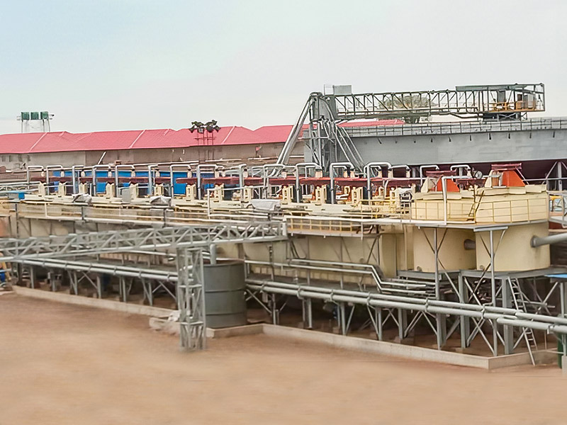 Zimbabwe Lepidolite 3000T/D Mineral Processing Project - Zhejiang Dingsen Holding Co., Ltd.